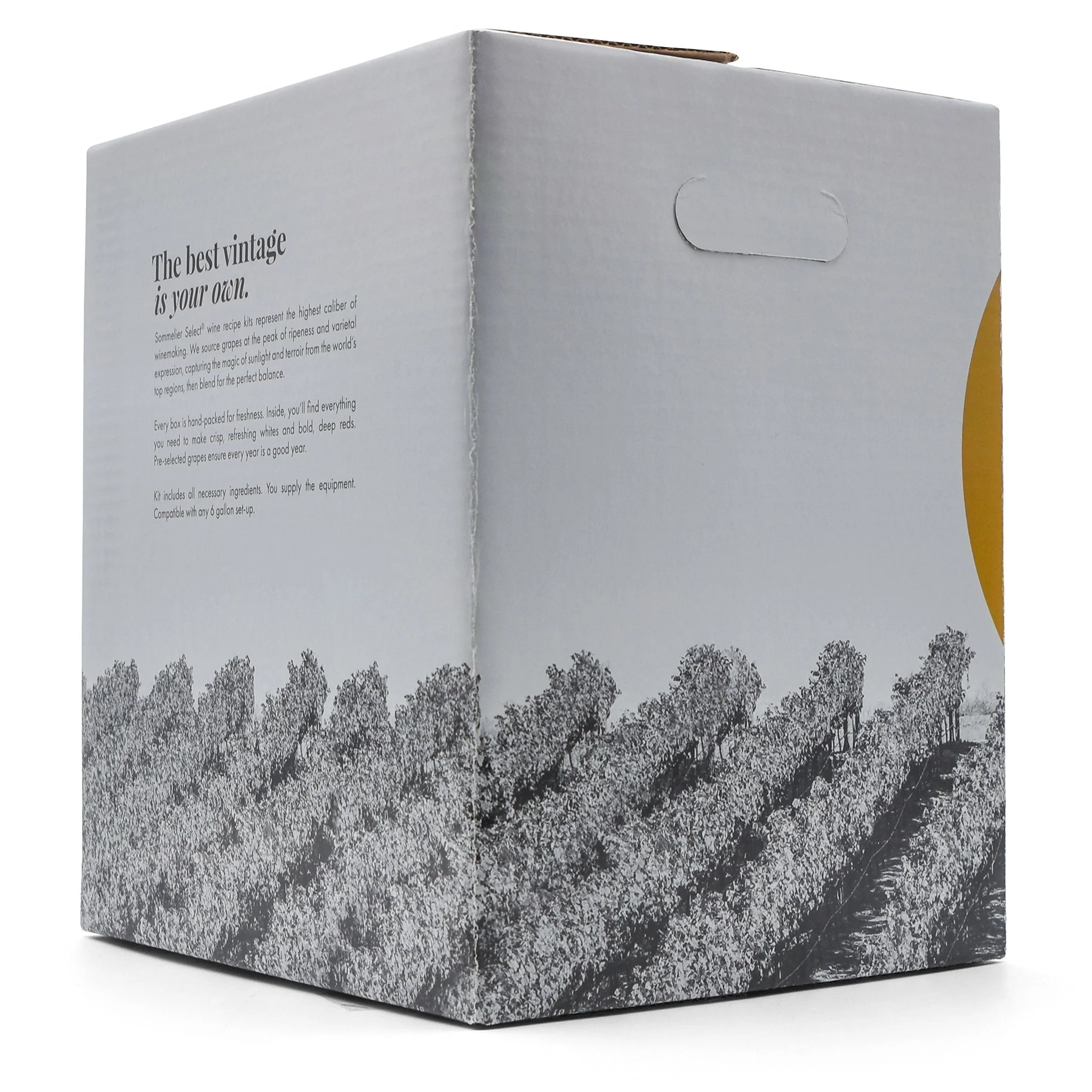Italian Nebbiolo (6G) Wine Kit - Master Vintner® Sommelier Select® - Image 3